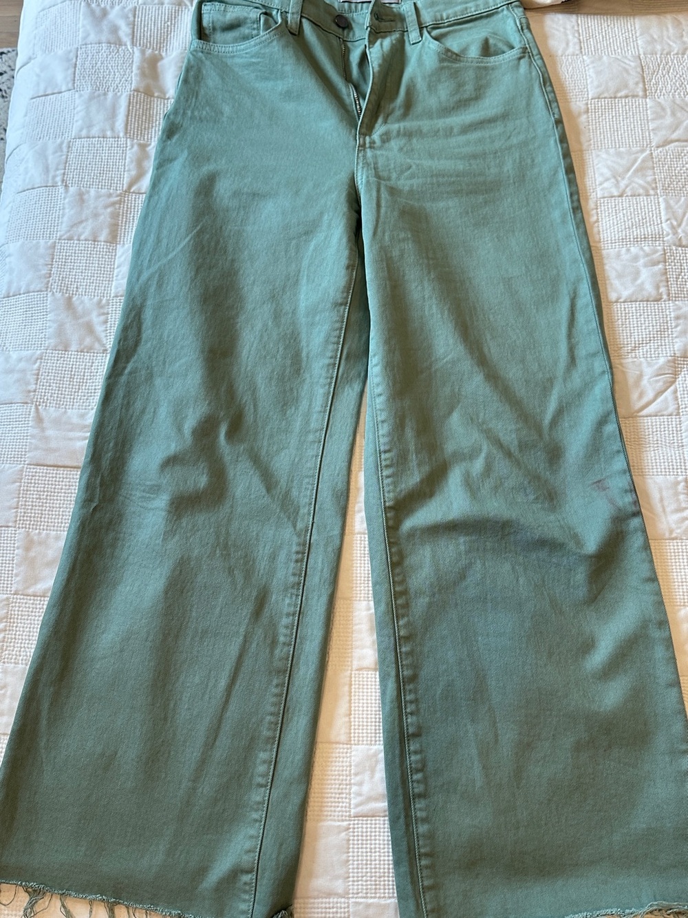 Wide Leg High-Rise Jeans in Thyme Green